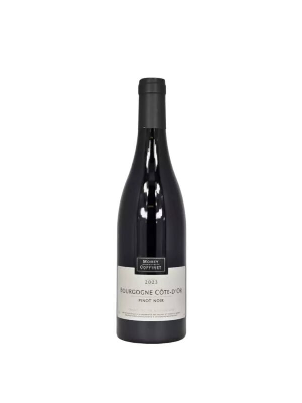 Domaine Morey-Coffinet Bourgogne Rouge Pinot Noir 2023 Domaine Morey-Coffinet Bourgogne Rouge Pinot Noir 2023