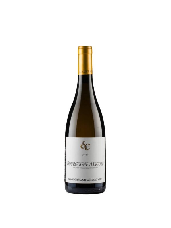 Sylvain Cathiard Bourgogne Aligoté 2023 Sylvain Cathiard Bourgogne Aligoté 2023