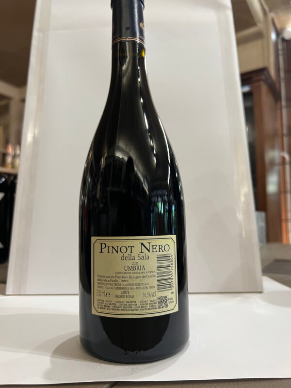pinot nero della sala 2021 retro Marchesi Antinori Pinot Nero Umbria IGT "Castello della Sala" 2021