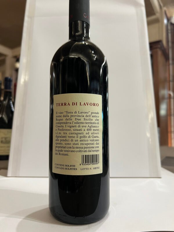 terra di lavoro 2016 retro Fattoria Falardi Terra di Lavoro Campania IGT 2016